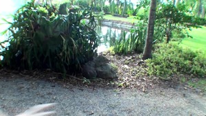 Street Blowjobs: Blonde haired Josh with bald Rachel Rose