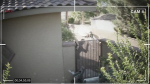 ZZ Series: Big ass Dani Daniels cumshot