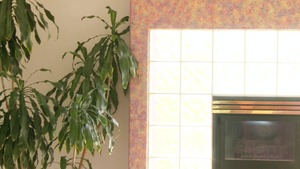 RealWifeStories: Sativa Rose ballet sex video